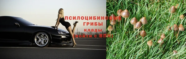 не бодяженный Володарск
