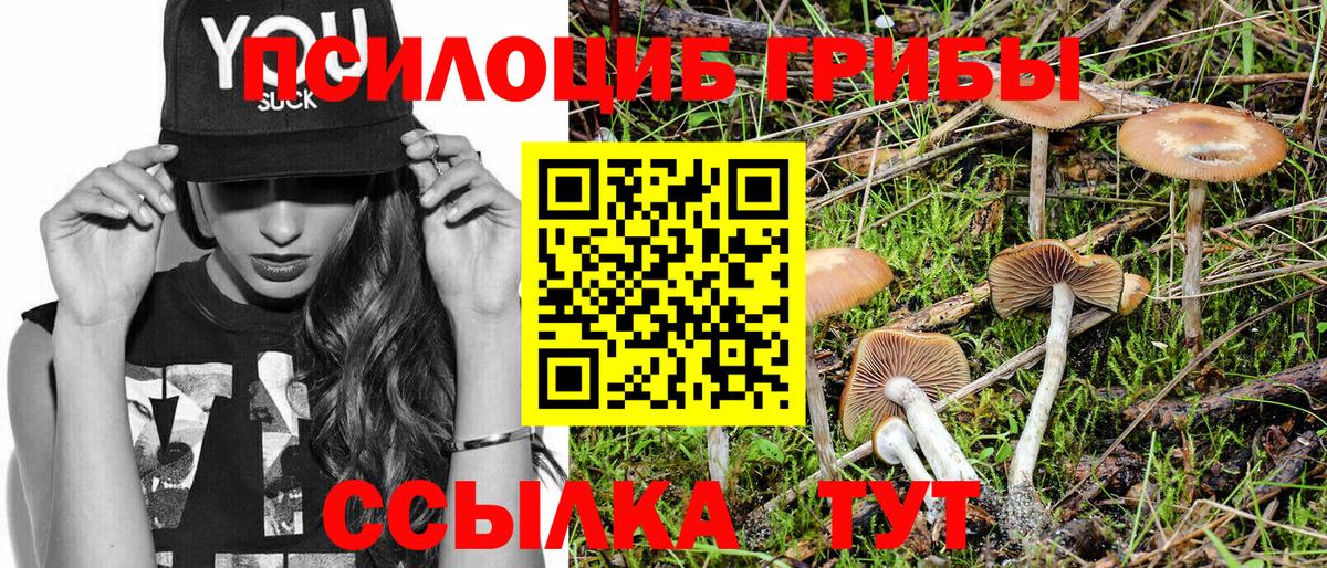Псилоцибиновые грибы Cubensis  Вход с VPN  Галлюциногенные грибы мицелий  Елец 